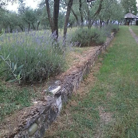 בית נופש Francesca *