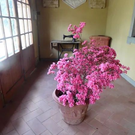 בית נופש Francesca