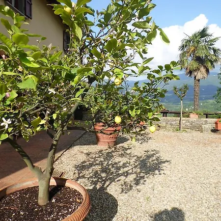 Francesca * Rignano sullʼArno