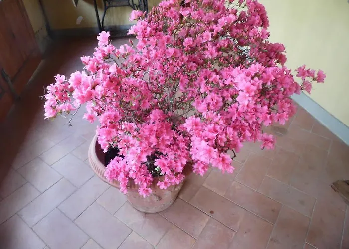 別荘 Francesca Rignano sullʼArno