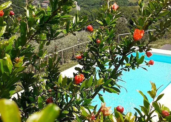 Francesca 別荘 Rignano sullʼArno