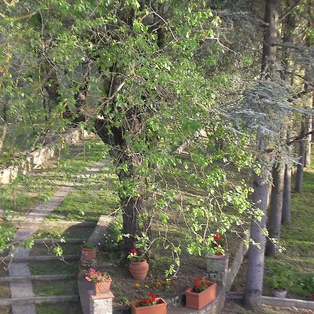 Francesca Rignano sullʼArno