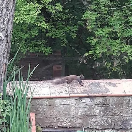 Hébergement de vacances Francesca *