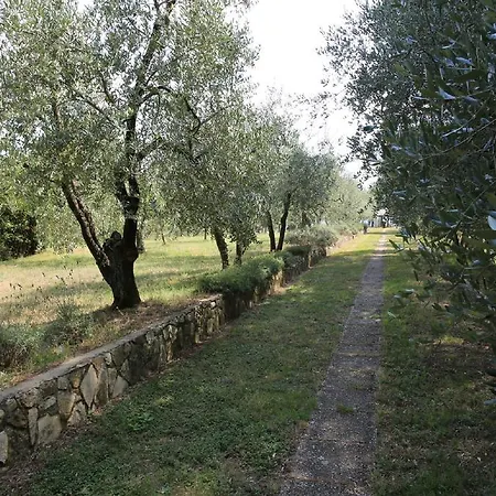 Francesca